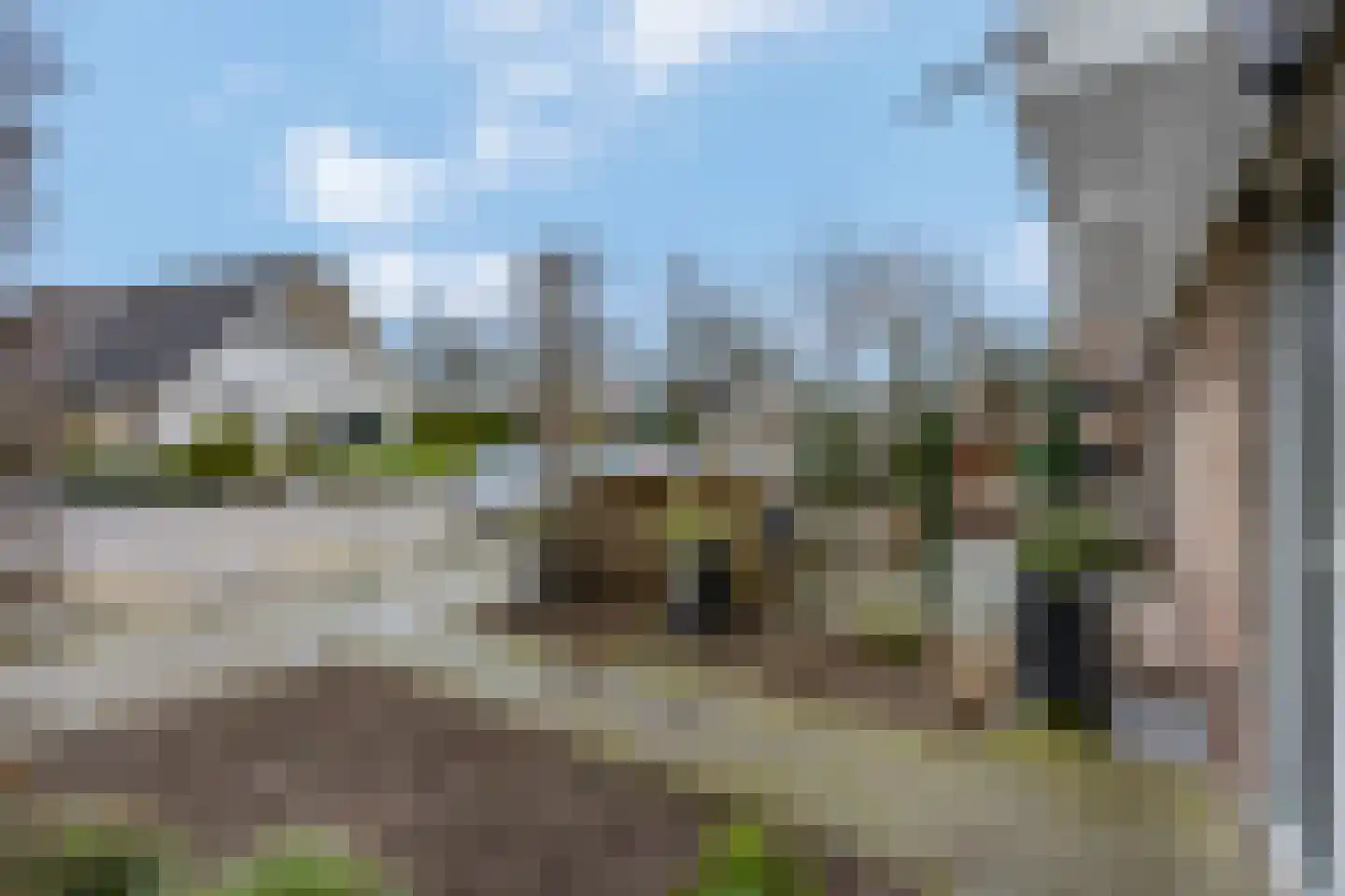 Zwijning 10 Ochten thumbnail 53
