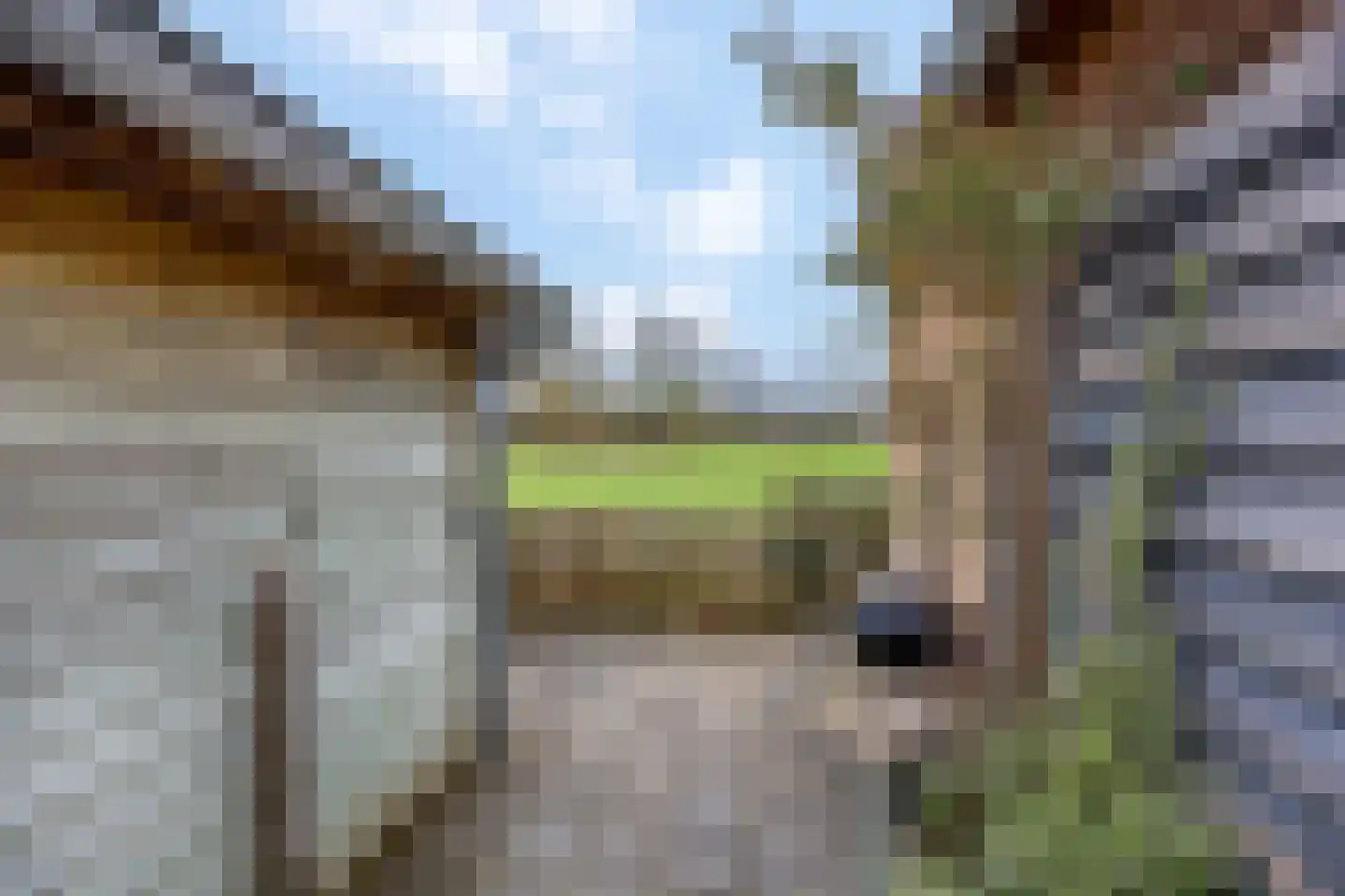Zwijning 10 Ochten thumbnail 64