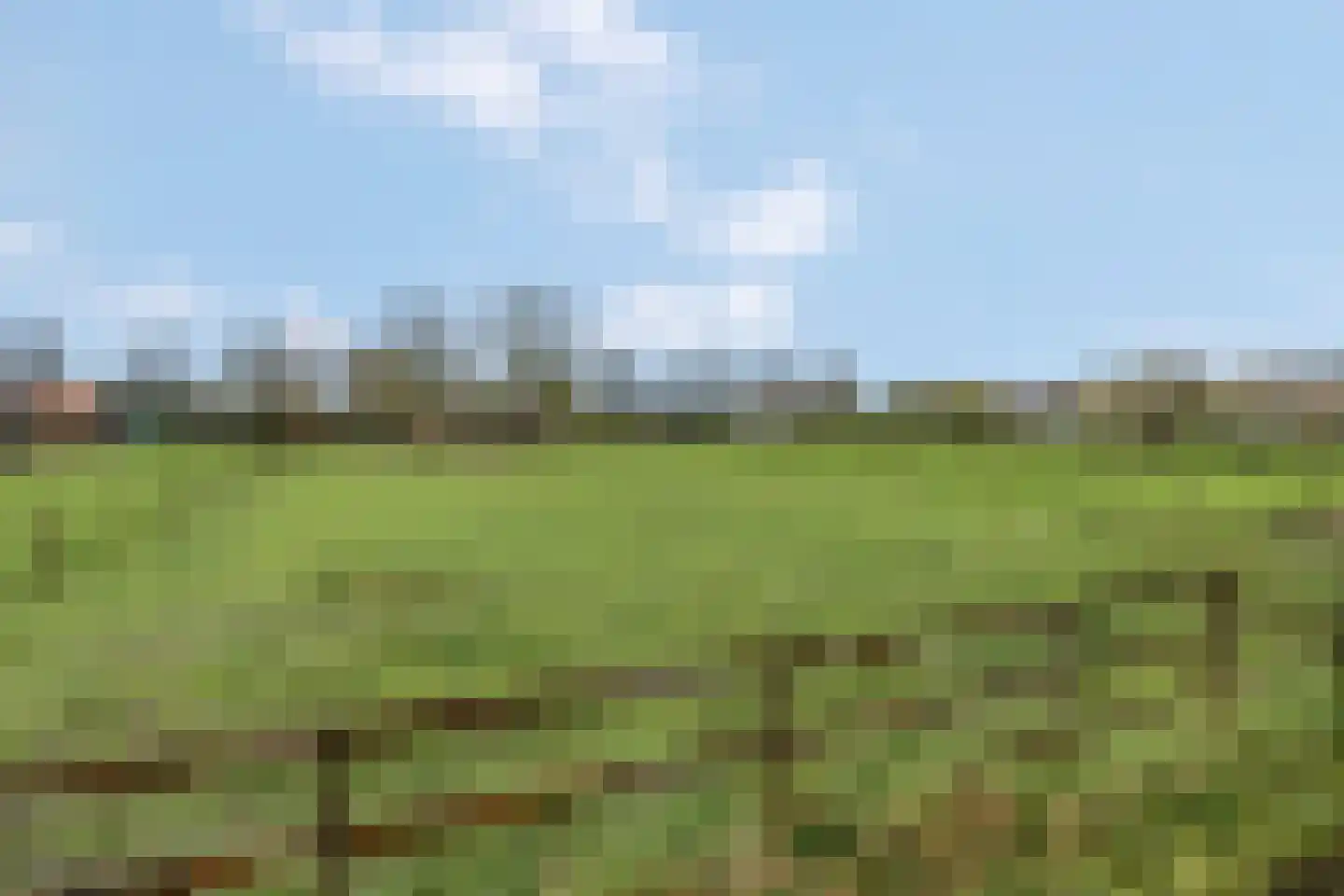 Zwijning 10 Ochten thumbnail 66