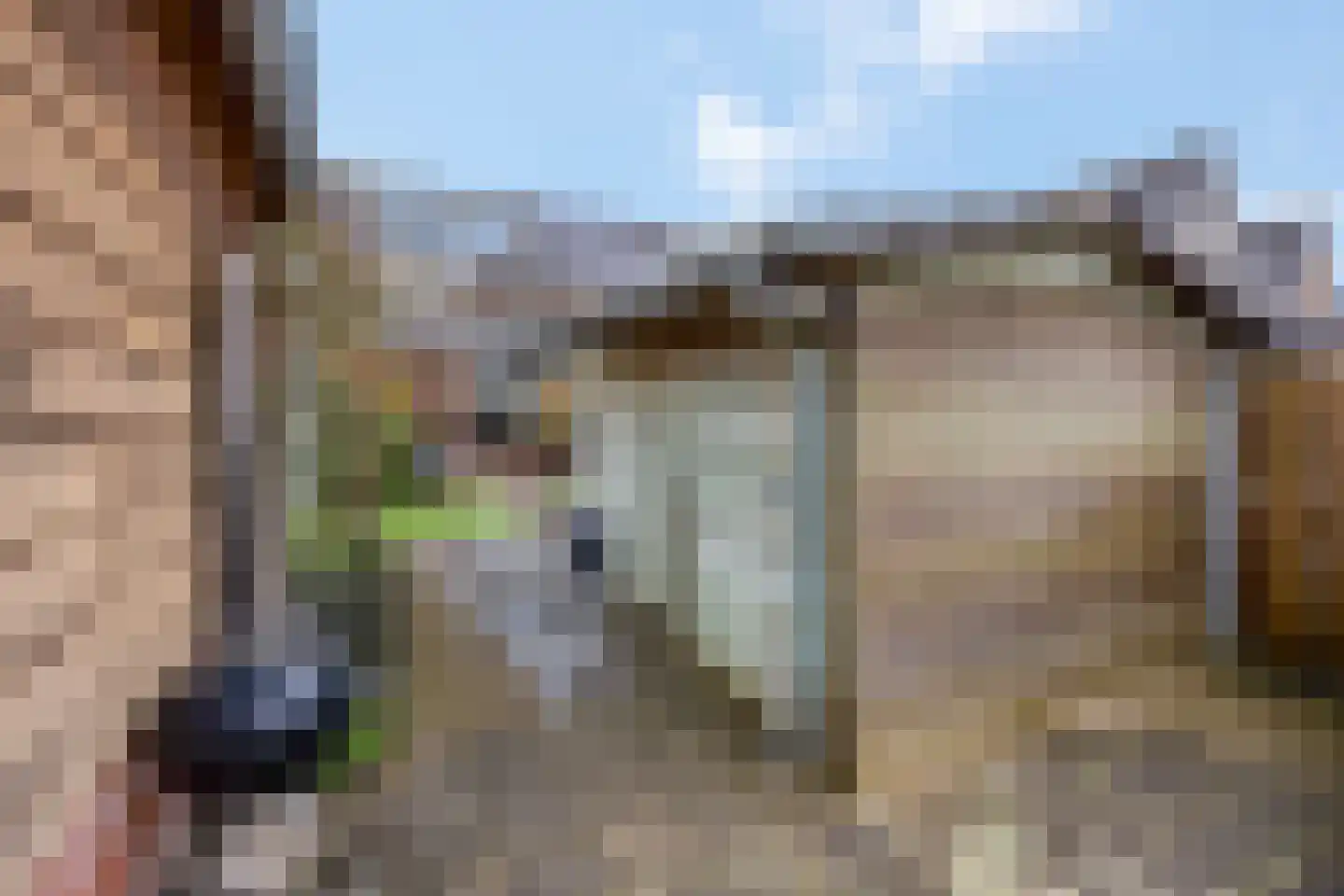 Zwijning 10 Ochten thumbnail 67