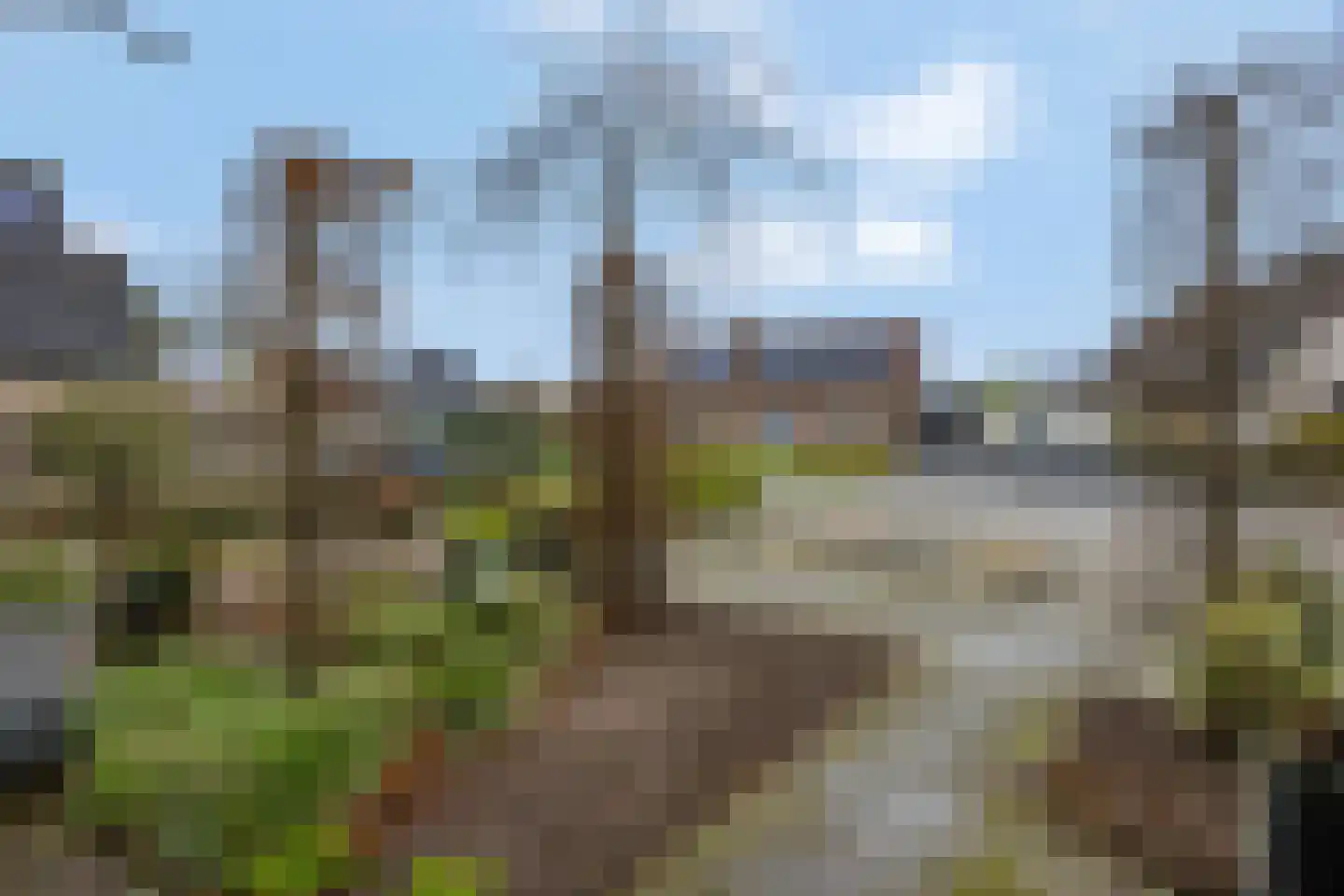 Zwijning 10 Ochten thumbnail 7