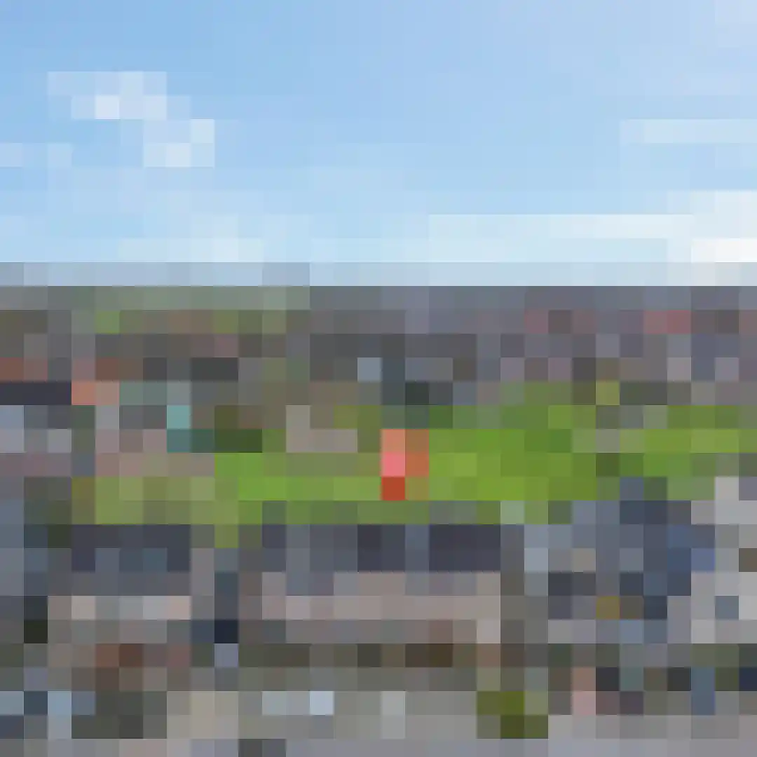 Zwijning 10 Ochten thumbnail 71