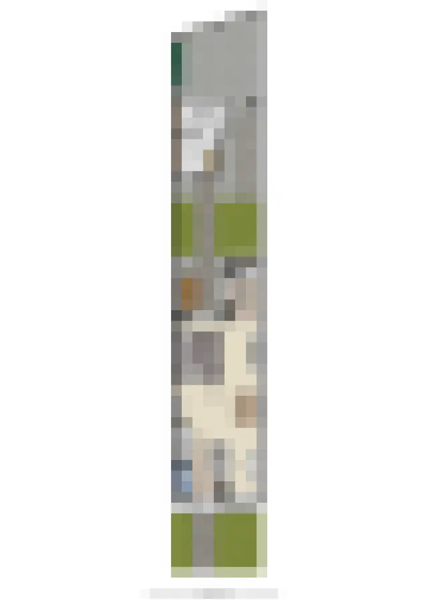 Zwijning 10 Ochten thumbnail 73