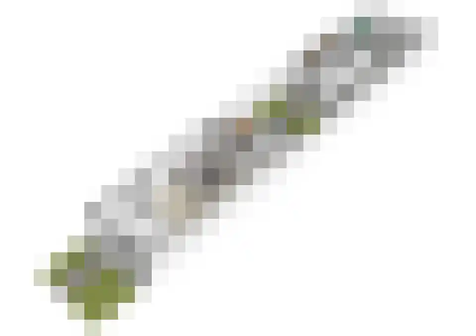Zwijning 10 Ochten thumbnail 78