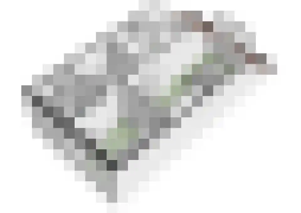 Zwijning 10 Ochten thumbnail 80