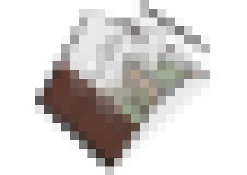 Zwijning 10 Ochten thumbnail 81