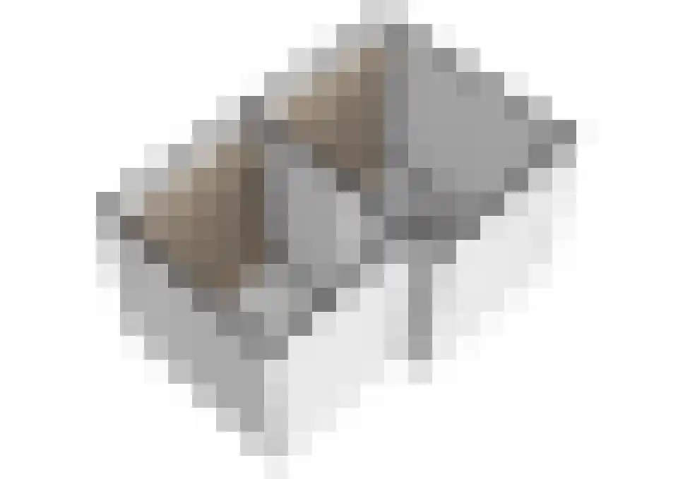Zwijning 10 Ochten thumbnail 82