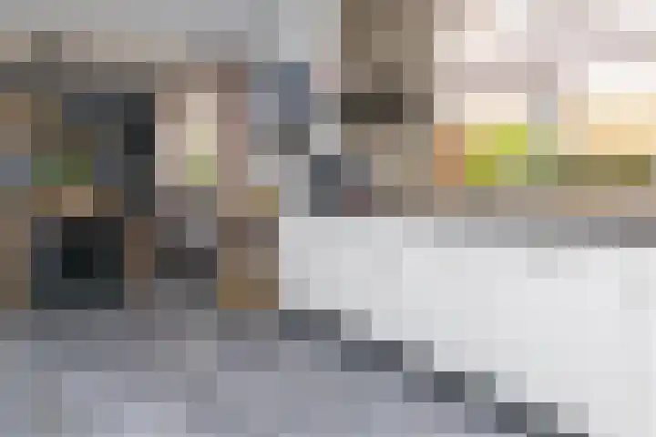 Zwijning 13 Ochten thumbnail 13