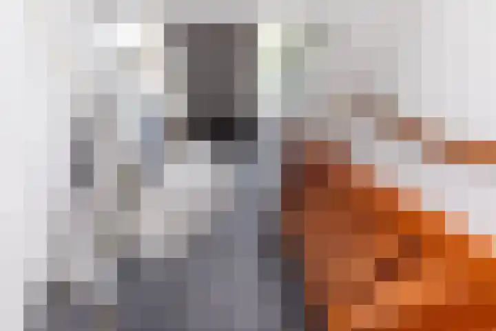 Zwijning 13 Ochten thumbnail 23
