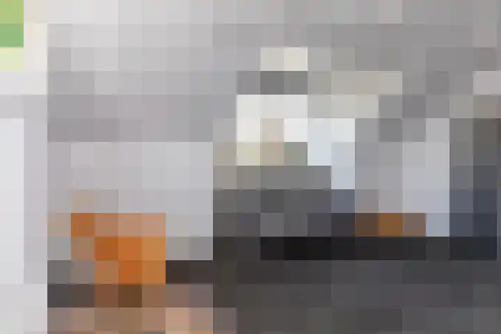 Zwijning 13 Ochten thumbnail 27