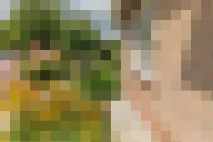 Zwijning 13 Ochten thumbnail 30