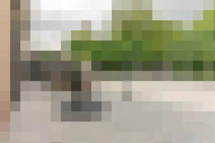 Zwijning 13 Ochten thumbnail 31