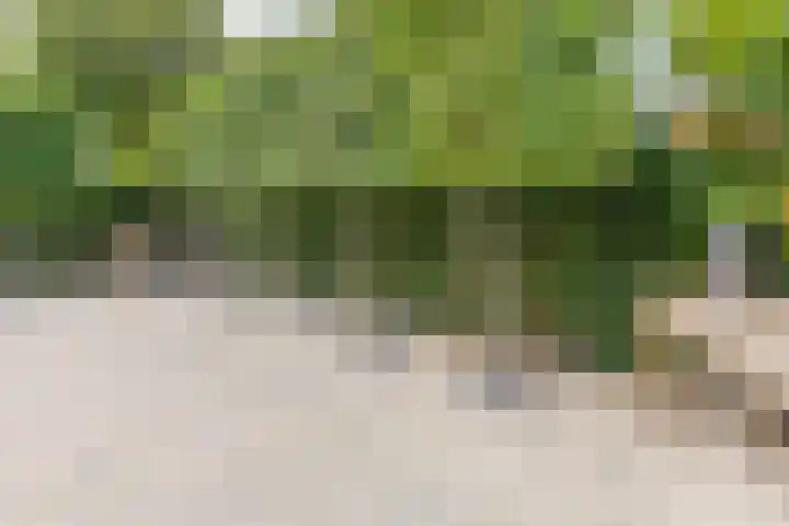 Zwijning 13 Ochten thumbnail 32