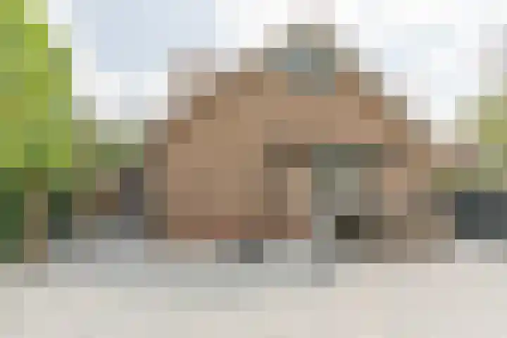 Zwijning 13 Ochten thumbnail 33