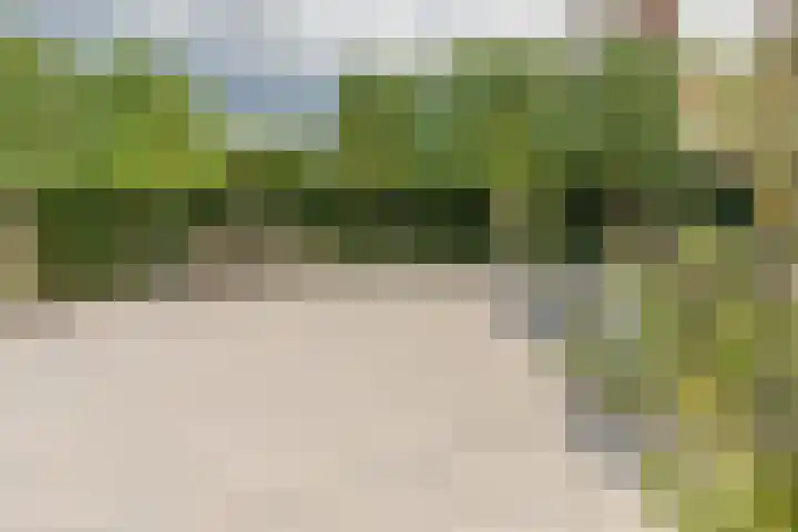Zwijning 13 Ochten thumbnail 35