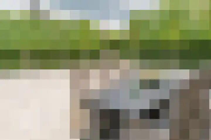 Zwijning 13 Ochten thumbnail 36