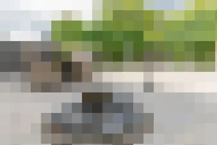 Zwijning 13 Ochten thumbnail 37