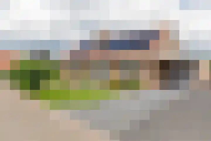 Zwijning 13 Ochten thumbnail 4