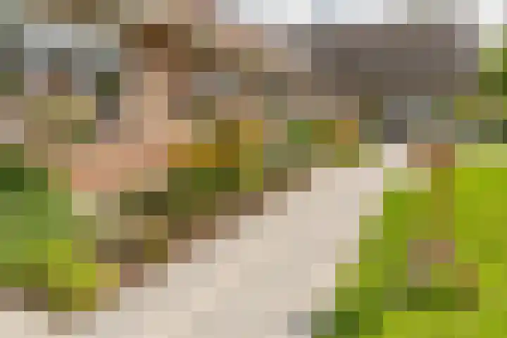 Zwijning 13 Ochten thumbnail 42
