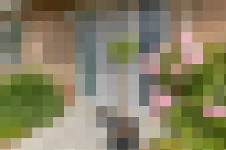 Zwijning 13 Ochten thumbnail 43
