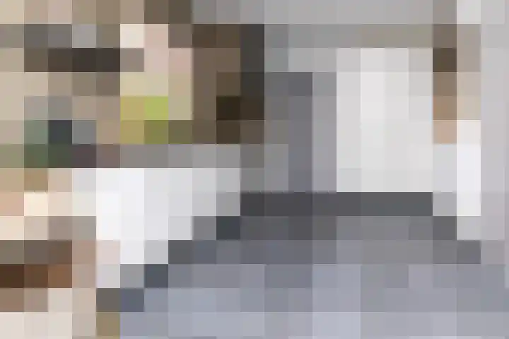Zwijning 13 Ochten thumbnail 48
