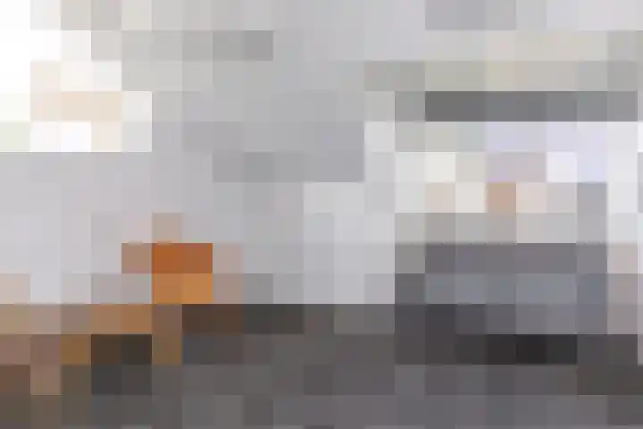 Zwijning 13 Ochten thumbnail 56