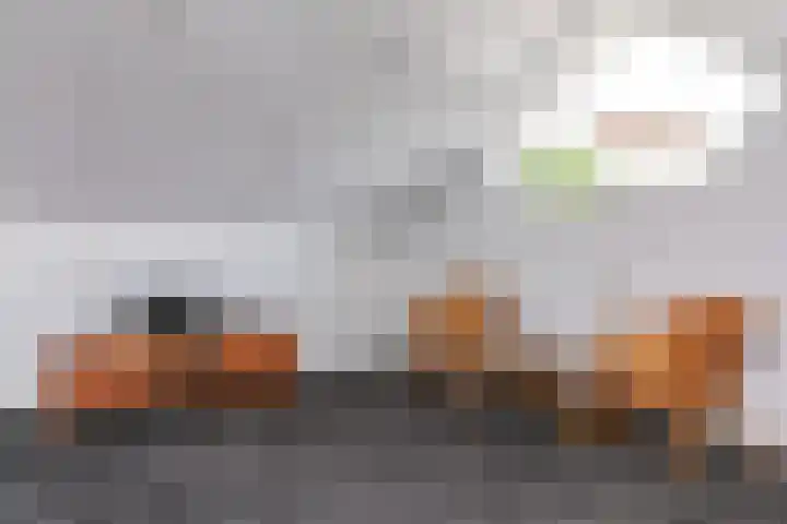 Zwijning 13 Ochten thumbnail 57