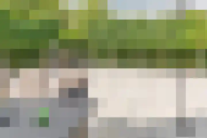 Zwijning 13 Ochten thumbnail 59