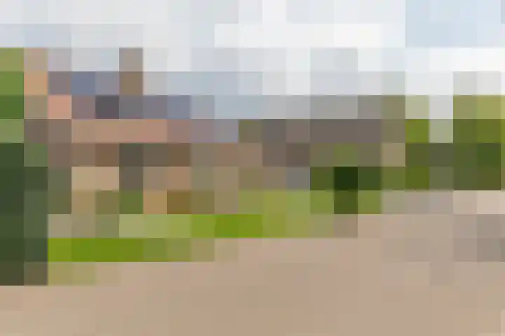 Zwijning 13 Ochten thumbnail 6