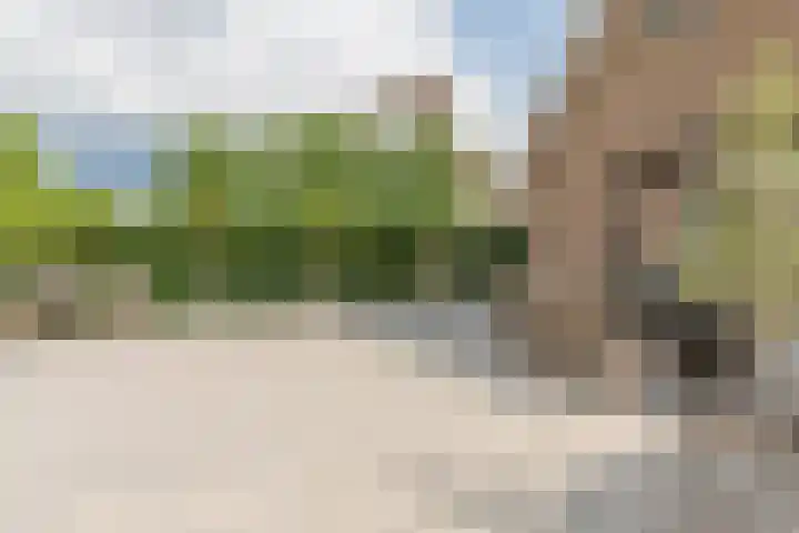 Zwijning 13 Ochten thumbnail 60