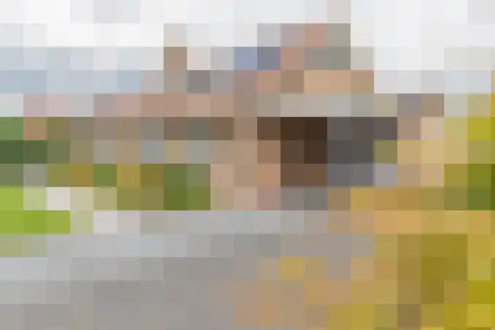 Zwijning 13 Ochten thumbnail 62