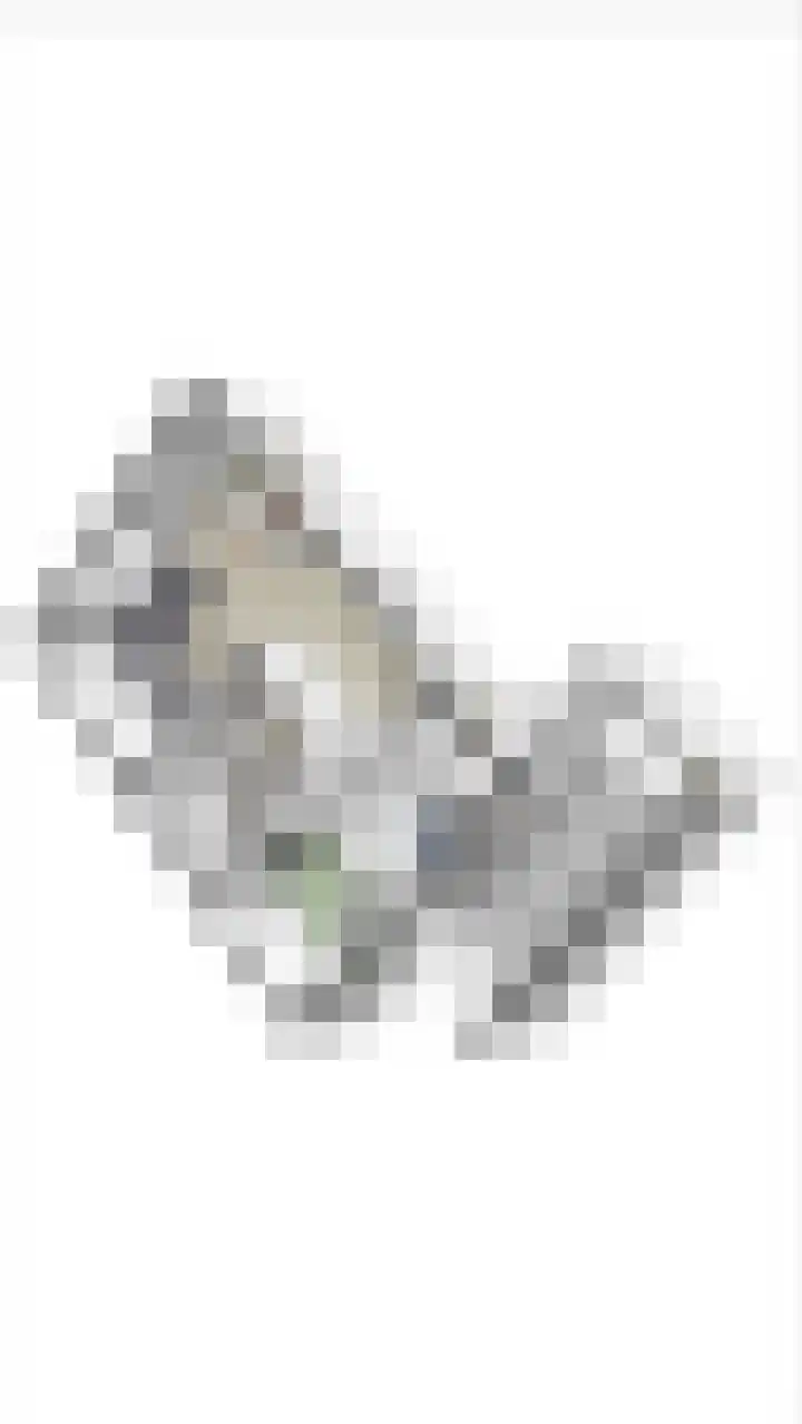 Zwijning 13 Ochten thumbnail 66