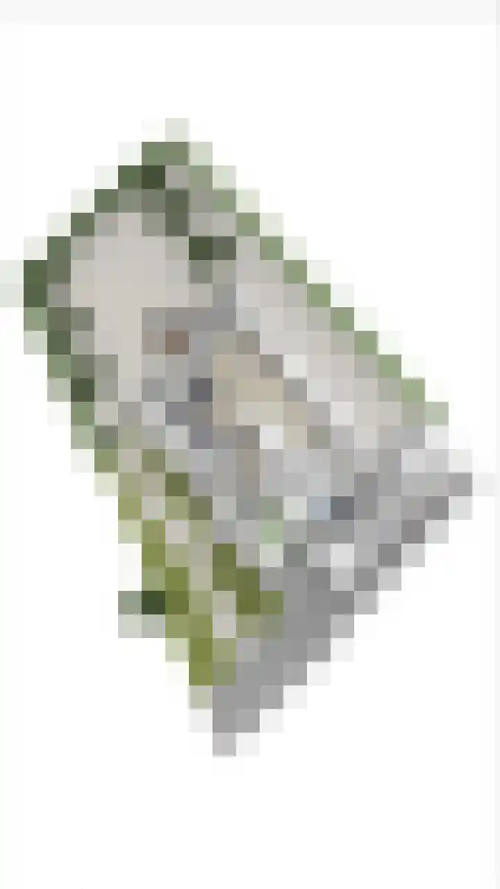 Zwijning 13 Ochten thumbnail 68