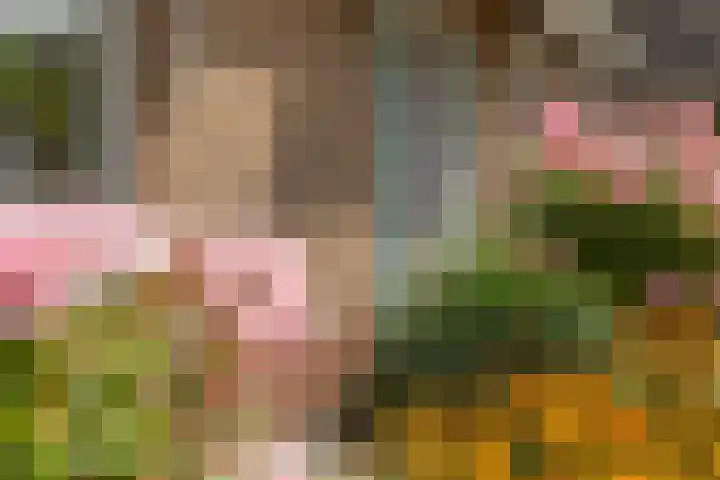 Zwijning 13 Ochten thumbnail 7