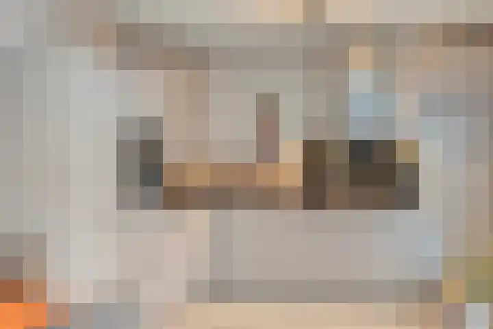 Zwijning 20 Ochten thumbnail 11