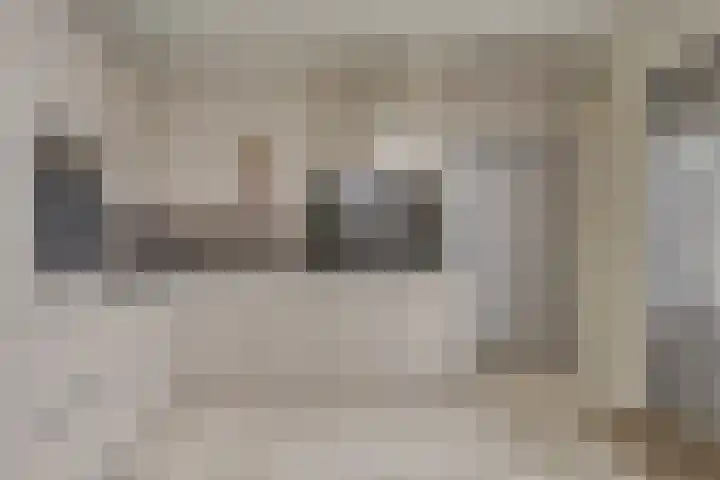 Zwijning 20 Ochten thumbnail 14