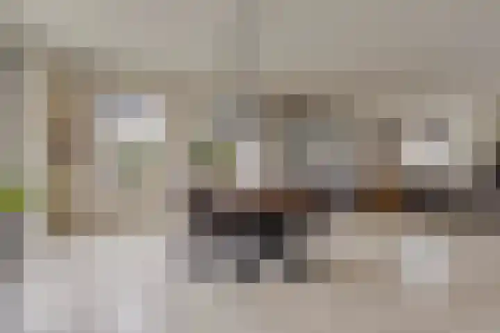 Zwijning 20 Ochten thumbnail 15