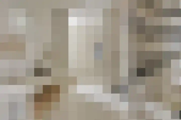Zwijning 20 Ochten thumbnail 16