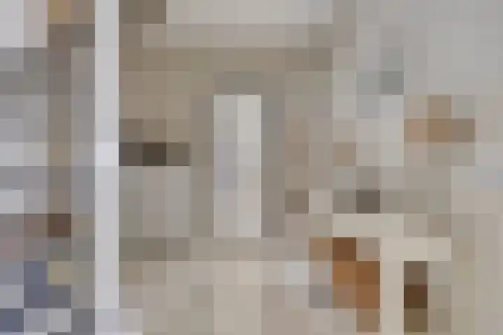 Zwijning 20 Ochten thumbnail 18