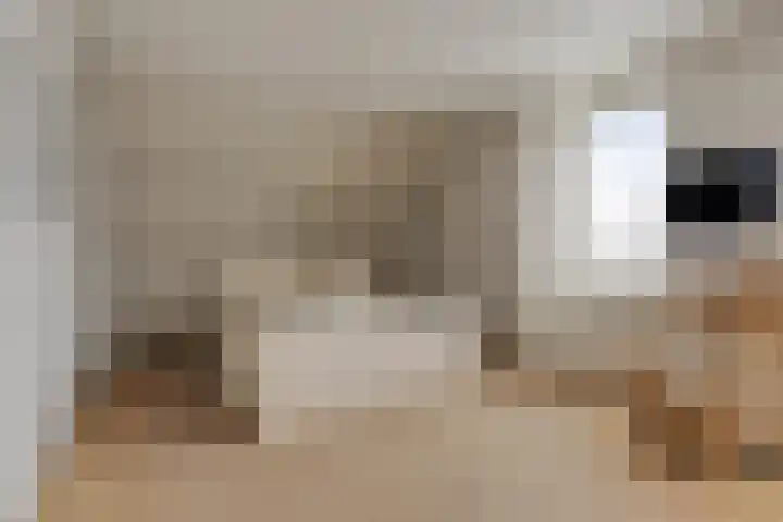 Zwijning 20 Ochten thumbnail 19