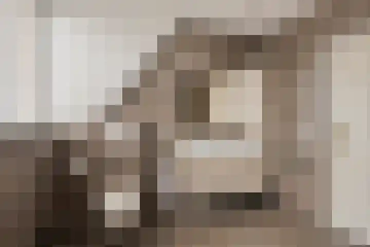 Zwijning 20 Ochten thumbnail 22