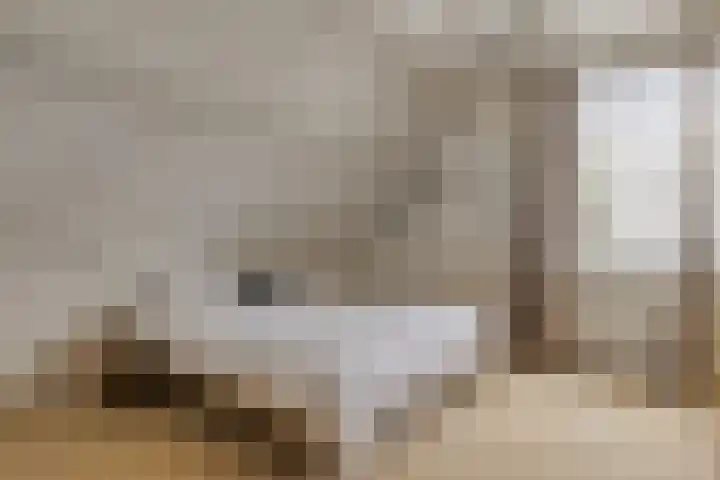 Zwijning 20 Ochten thumbnail 24