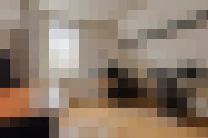 Zwijning 20 Ochten thumbnail 25