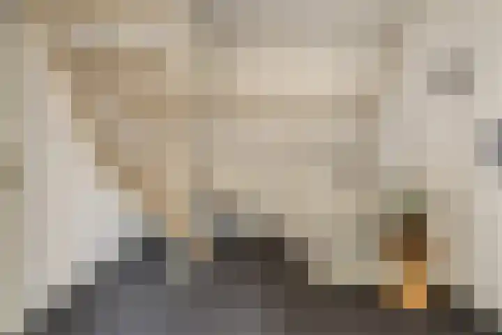 Zwijning 20 Ochten thumbnail 26