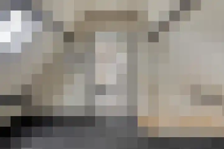 Zwijning 20 Ochten thumbnail 27