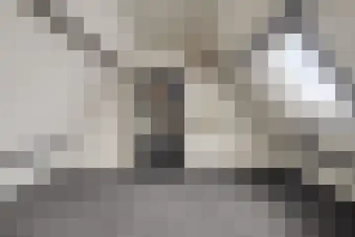 Zwijning 20 Ochten thumbnail 28