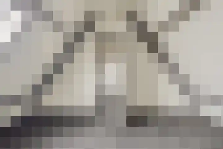Zwijning 20 Ochten thumbnail 29