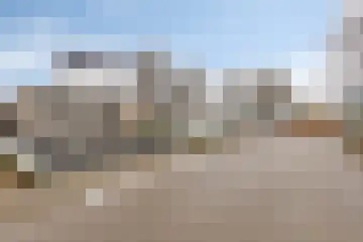 Zwijning 20 Ochten thumbnail 30