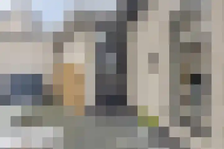 Zwijning 20 Ochten thumbnail 31