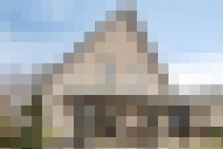 Zwijning 20 Ochten thumbnail 32